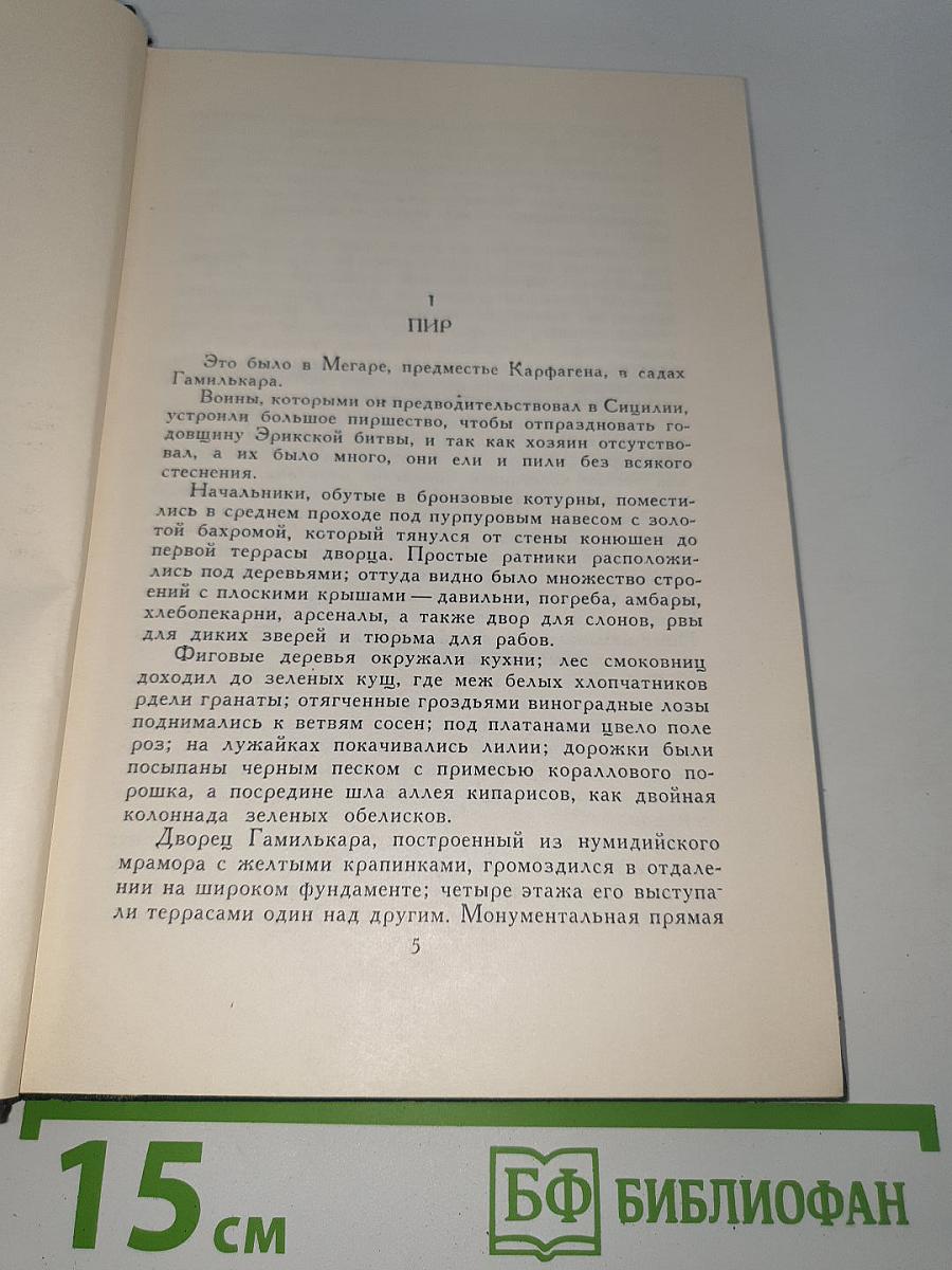 Саламбо. Кандидат