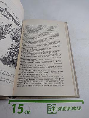 Стрела Махамбета