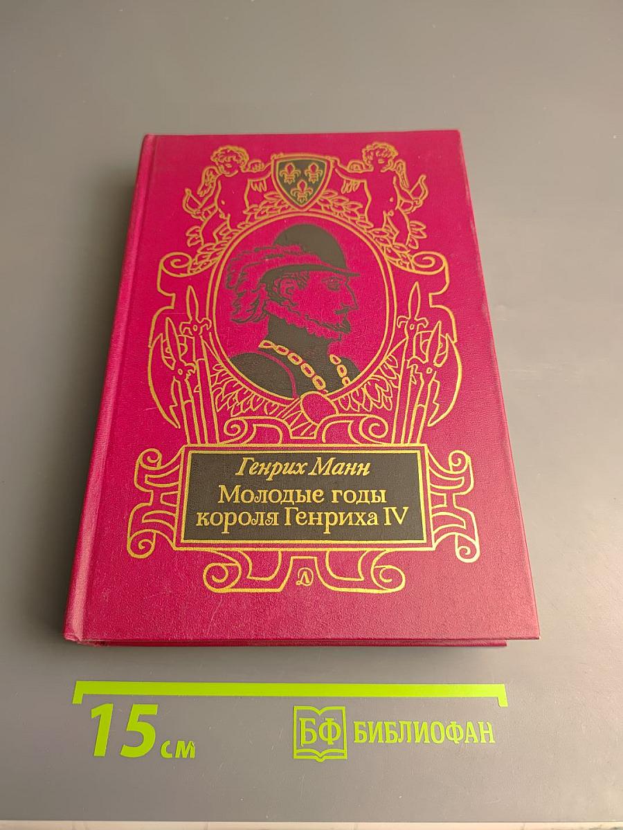 Молодые годы короля Генриха IV