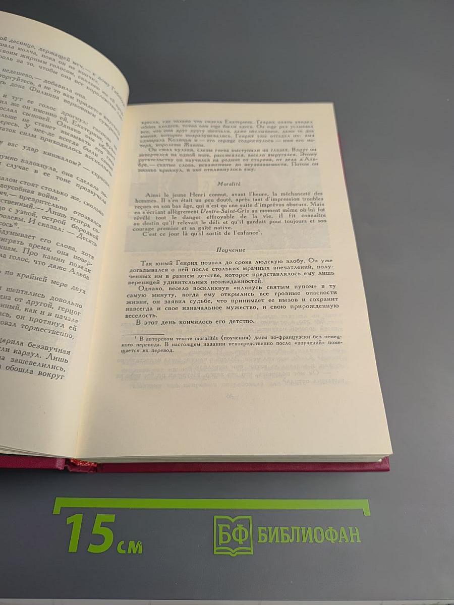 Молодые годы короля Генриха IV