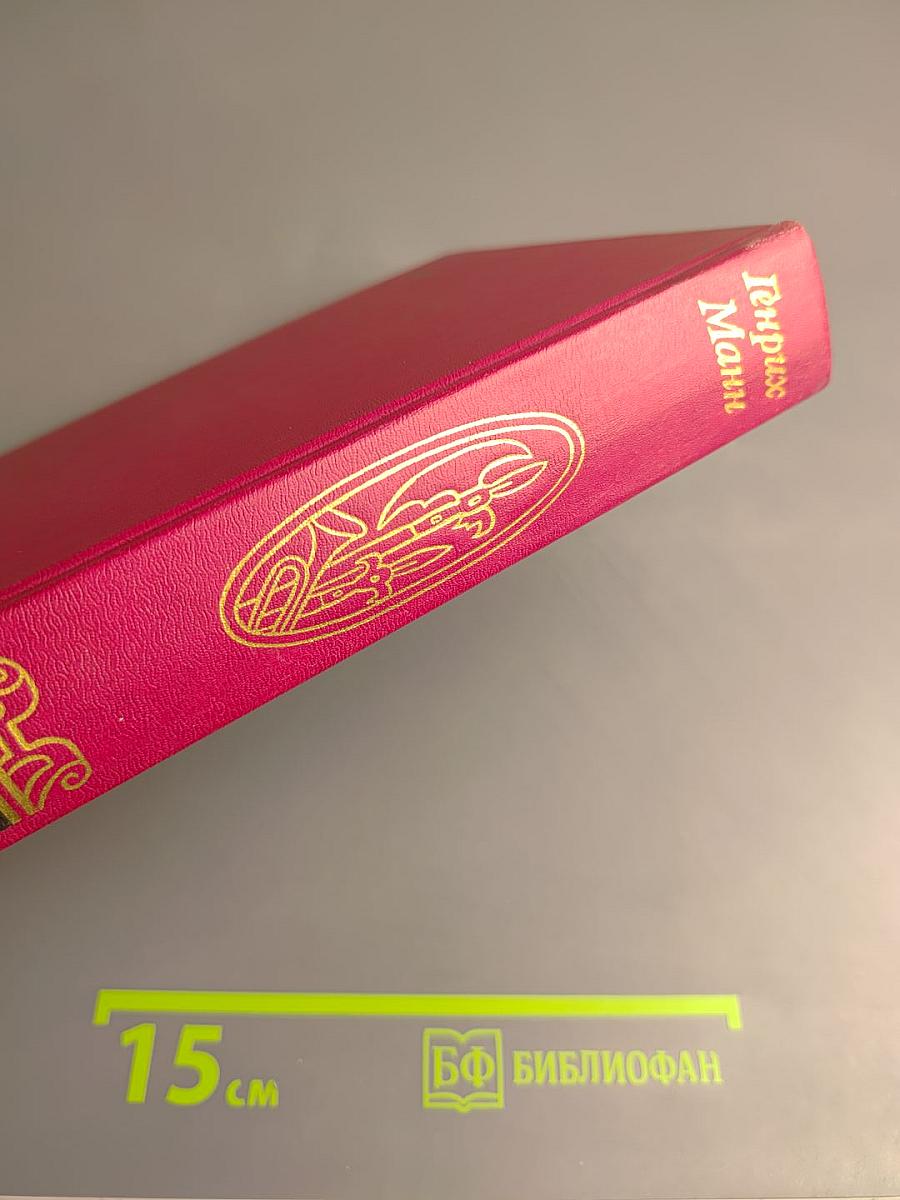 Молодые годы короля Генриха IV