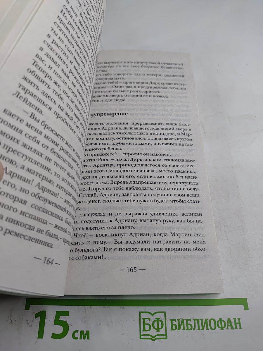 Лейденская красавица