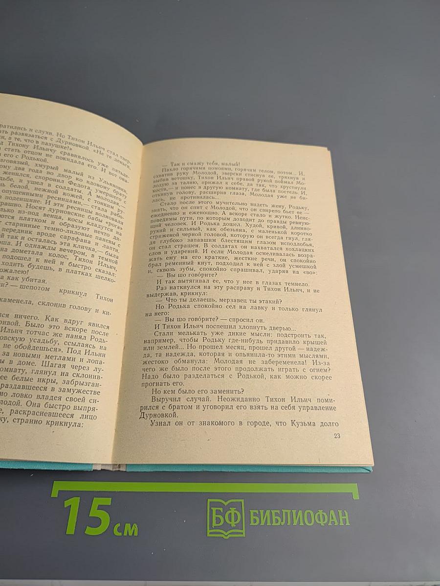 Деревня. Митина любовь