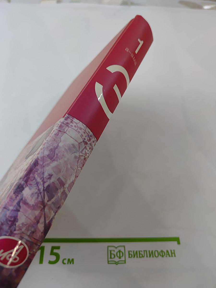 Большая иллюстрированная энциклопедия. Том 1. А-Ама