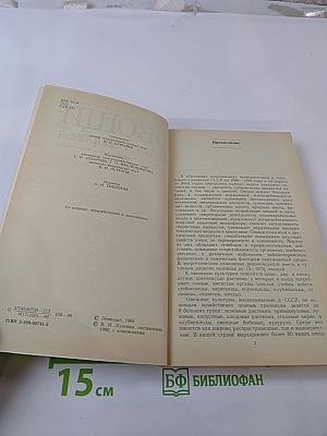 Овощи: родник здоровья