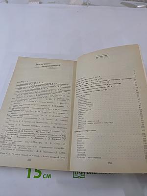 Овощи: родник здоровья