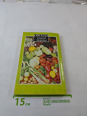 Овощи: родник здоровья