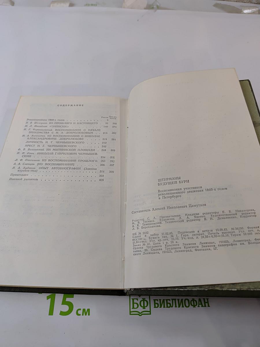 Штурманы будущей бури