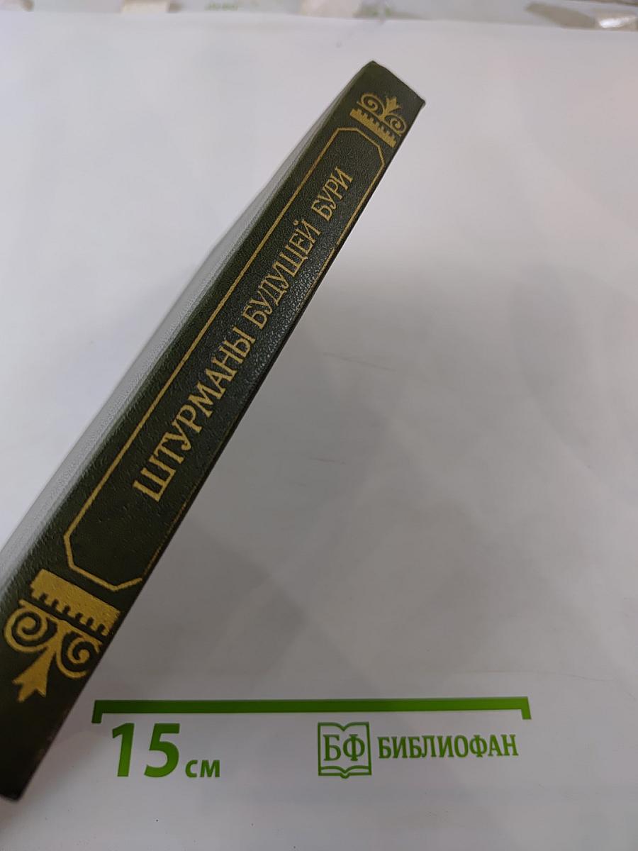 Штурманы будущей бури