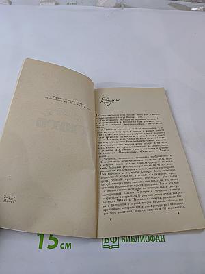 Виктор Гюго