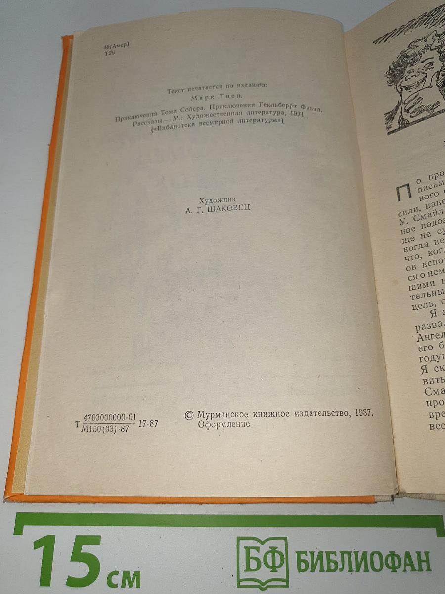 Таинственный незнакомец