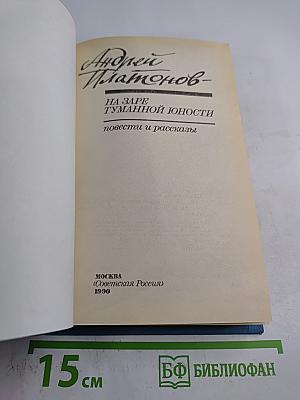 На заре туманной юности