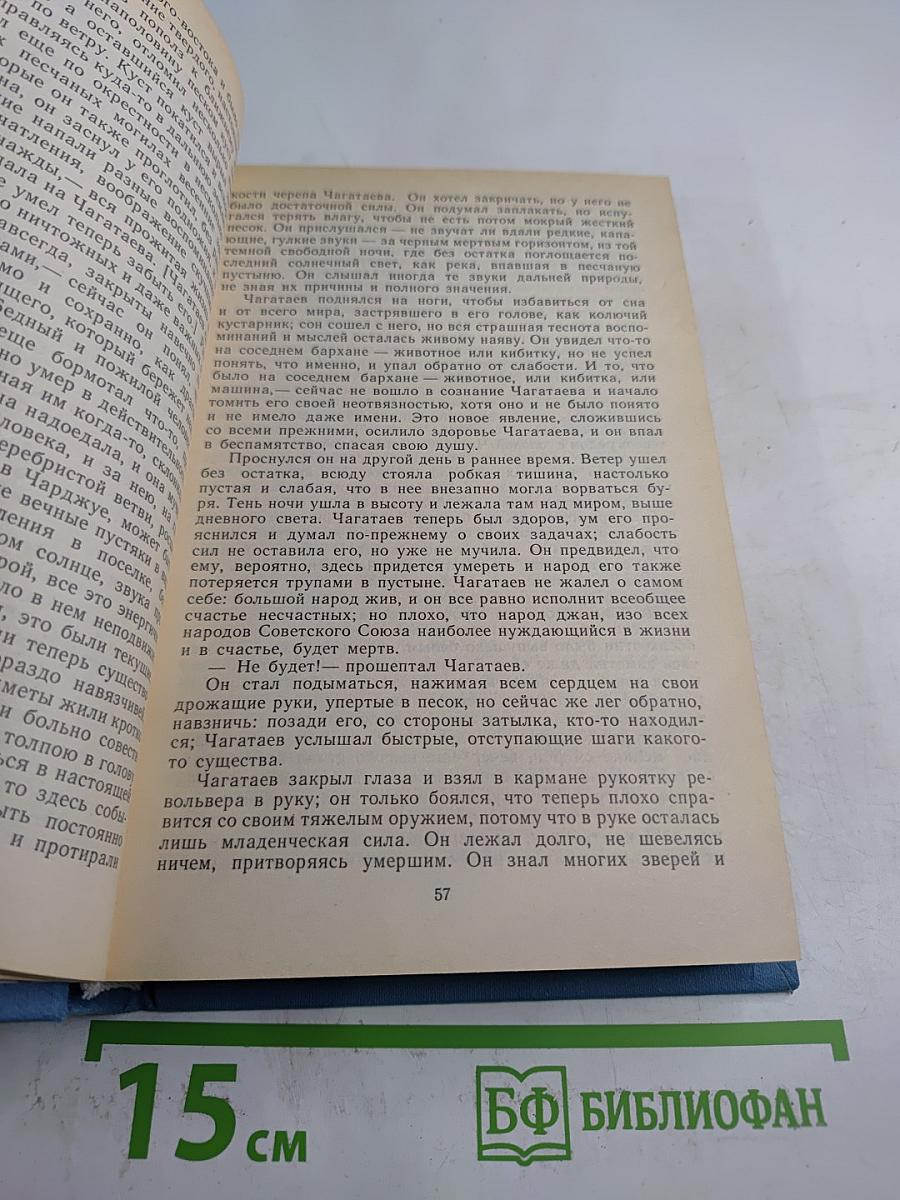 На заре туманной юности