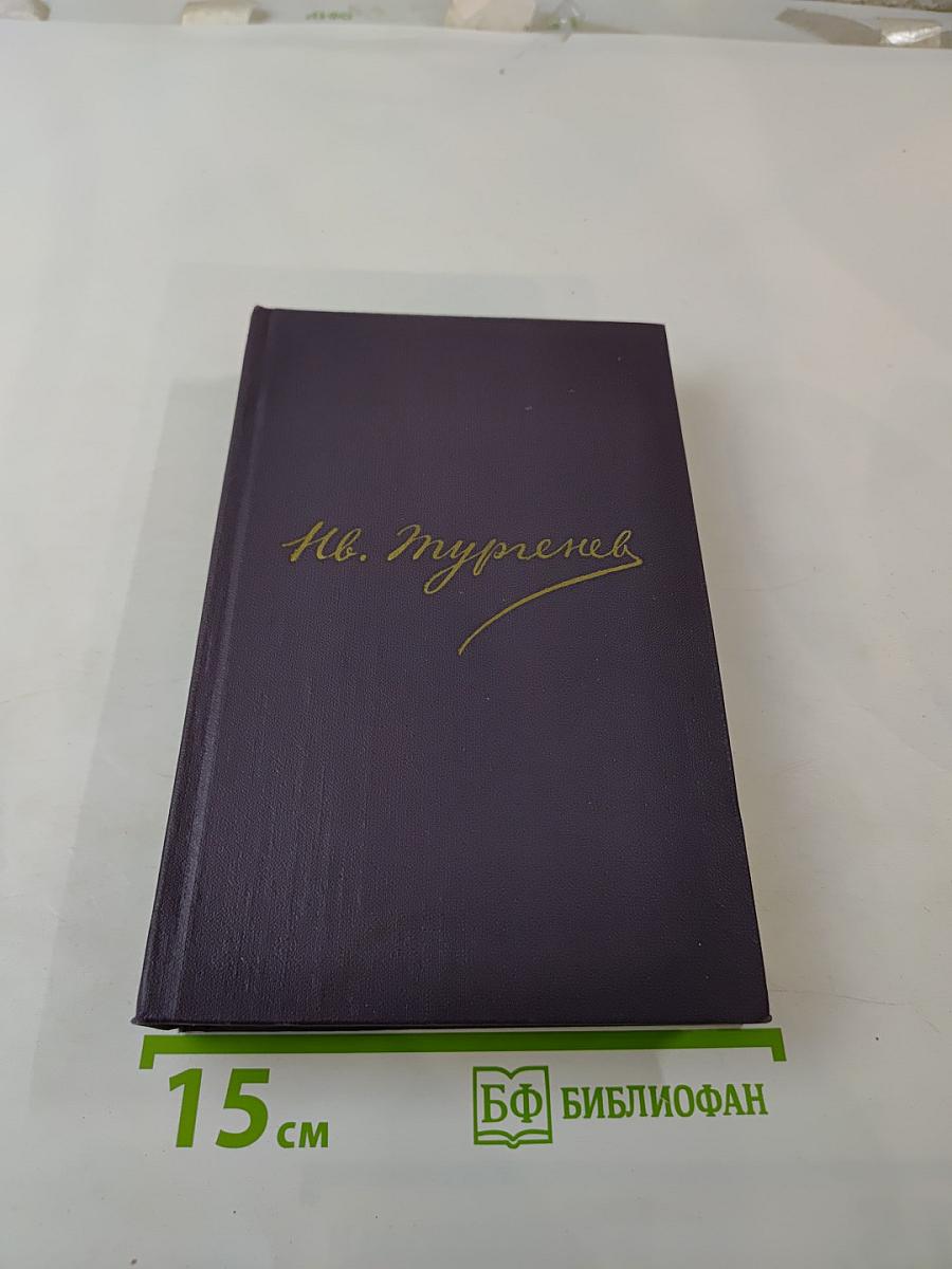 Сочинения. Повести и рассказы 1868-1872. Том восьмой