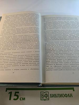 Антология русского советского рассказа (20-е годы)
