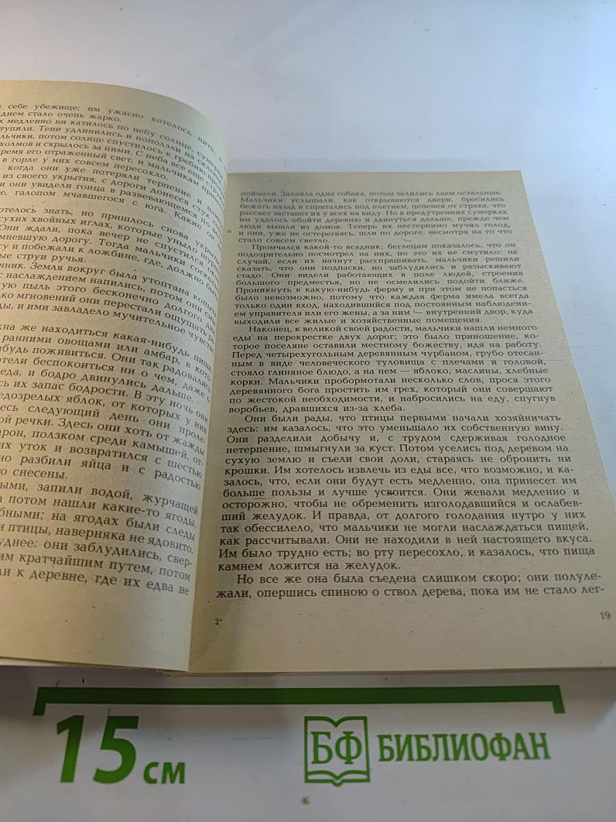 Беглецы. Восстание на золотых приисках