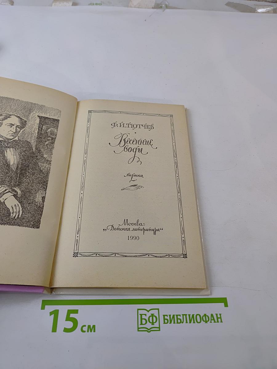 Весенние воды