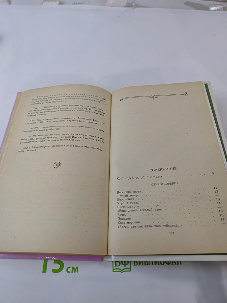 Весенние воды