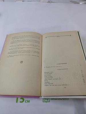 Весенние воды