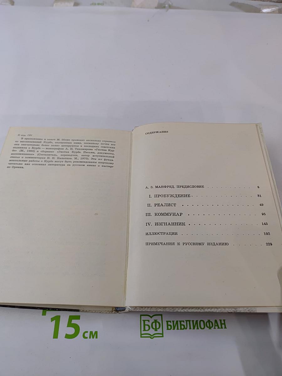 Bonjour, здравствуйте, monsieur господин courbet! курбе!