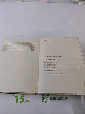 Bonjour, здравствуйте, monsieur господин courbet! курбе!