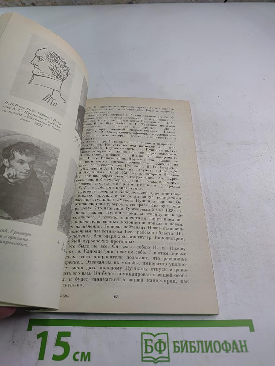 Раевские мои...