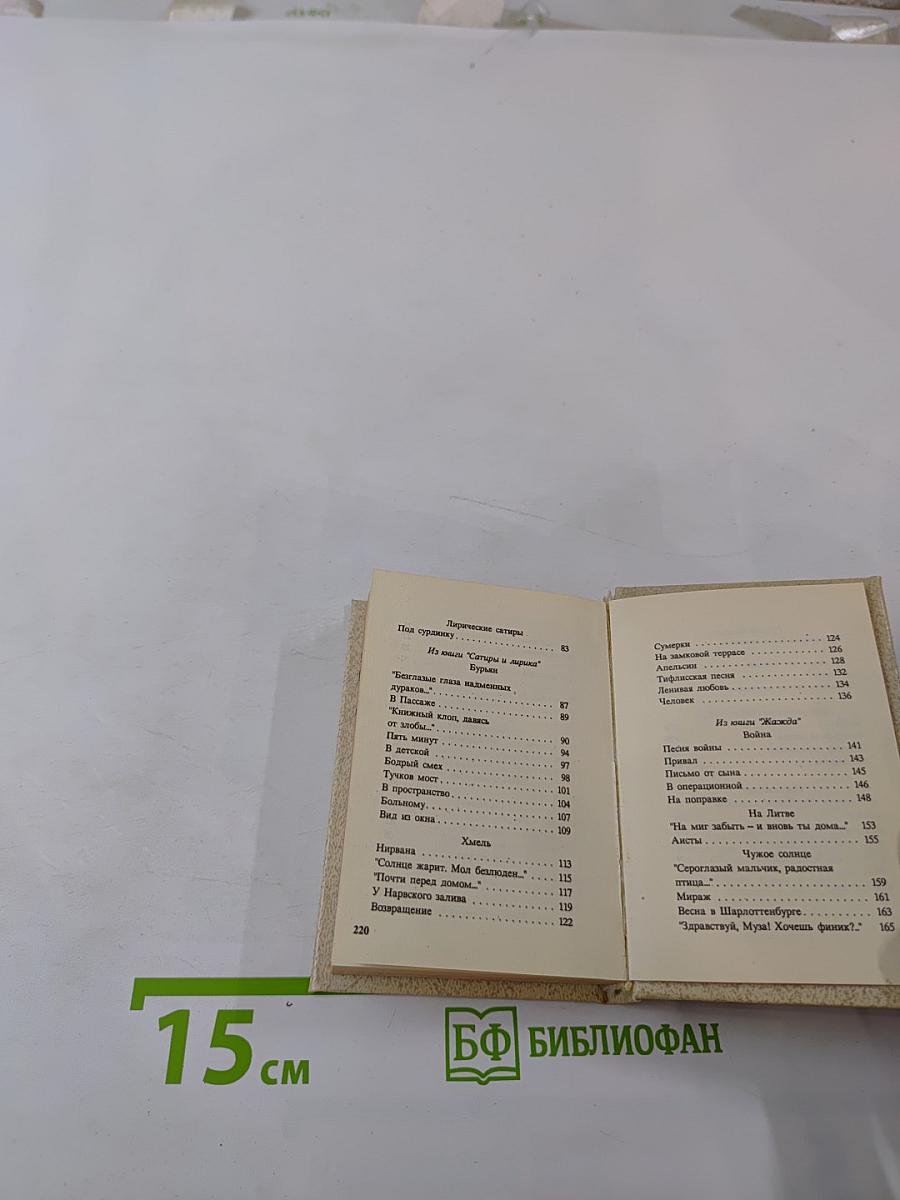 Саша Черный