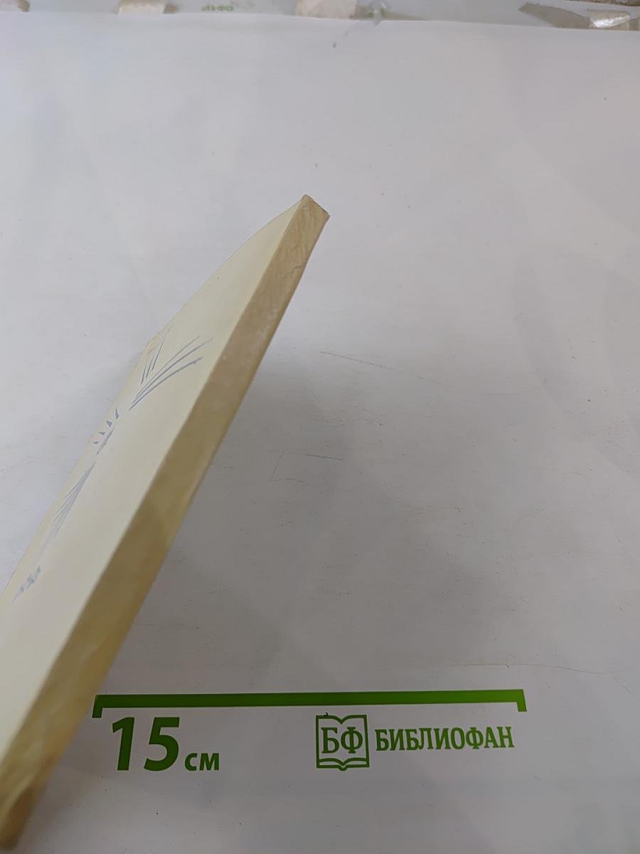 Любовь и звезды