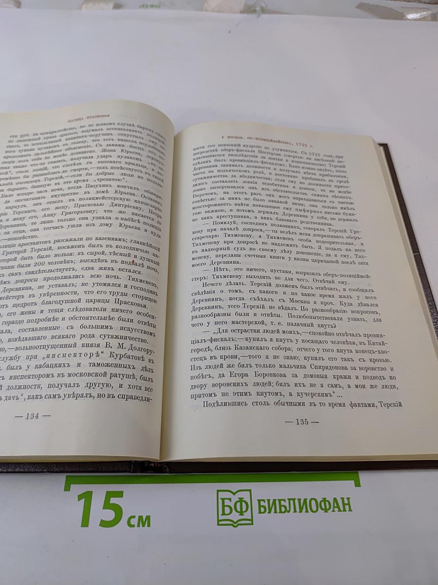 Царица Прасковья. 1664-1723. Очерк из русской истории XVIII века