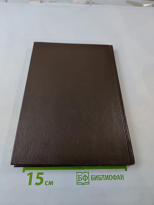 Царица Прасковья. 1664-1723. Очерк из русской истории XVIII века