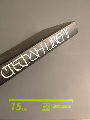 Стефан Цвейг. Кристина Хофленер. Жозеф Фуше