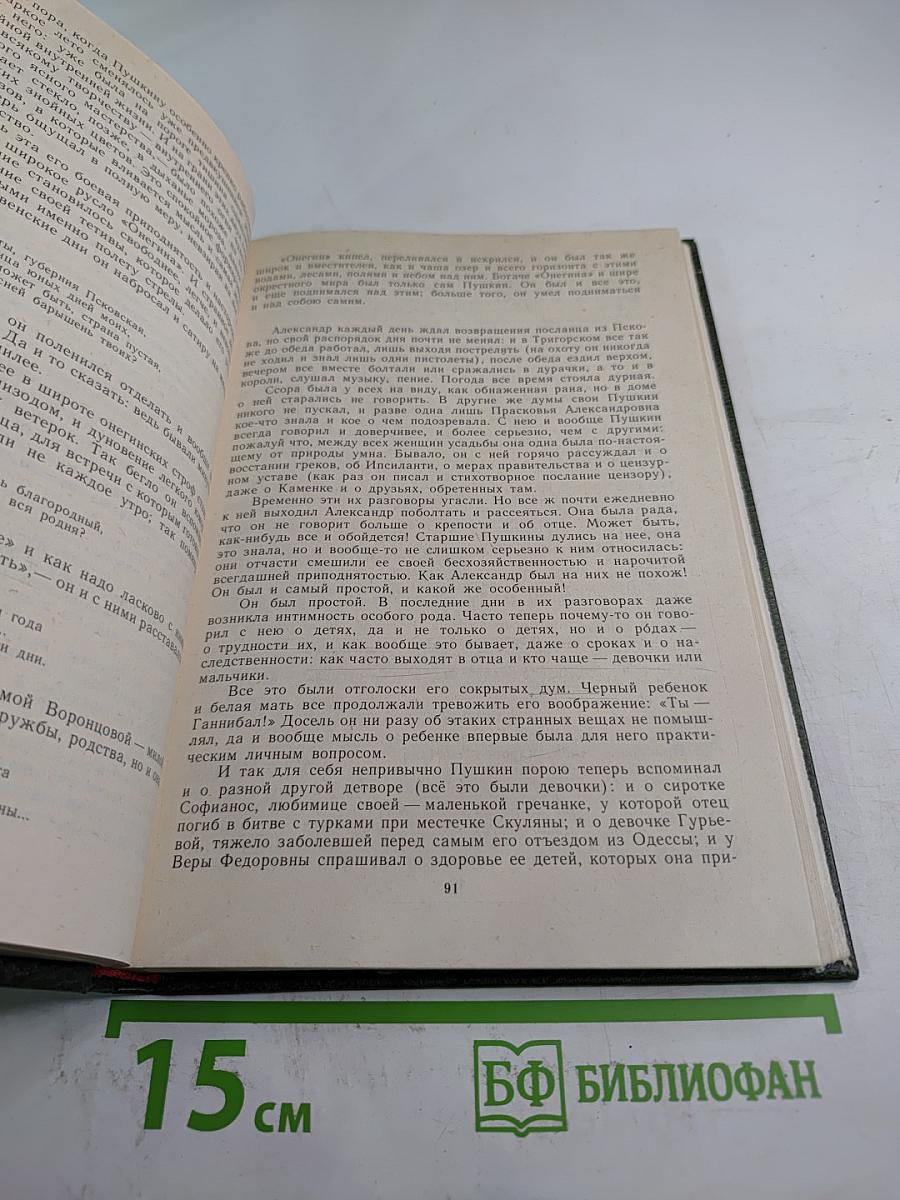 Пушкин в Михайловском