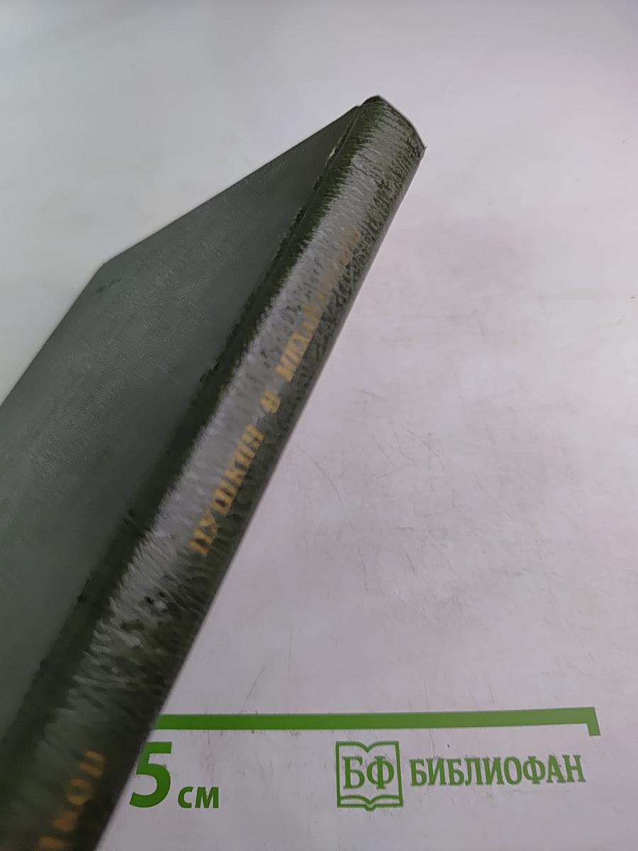 Пушкин в Михайловском