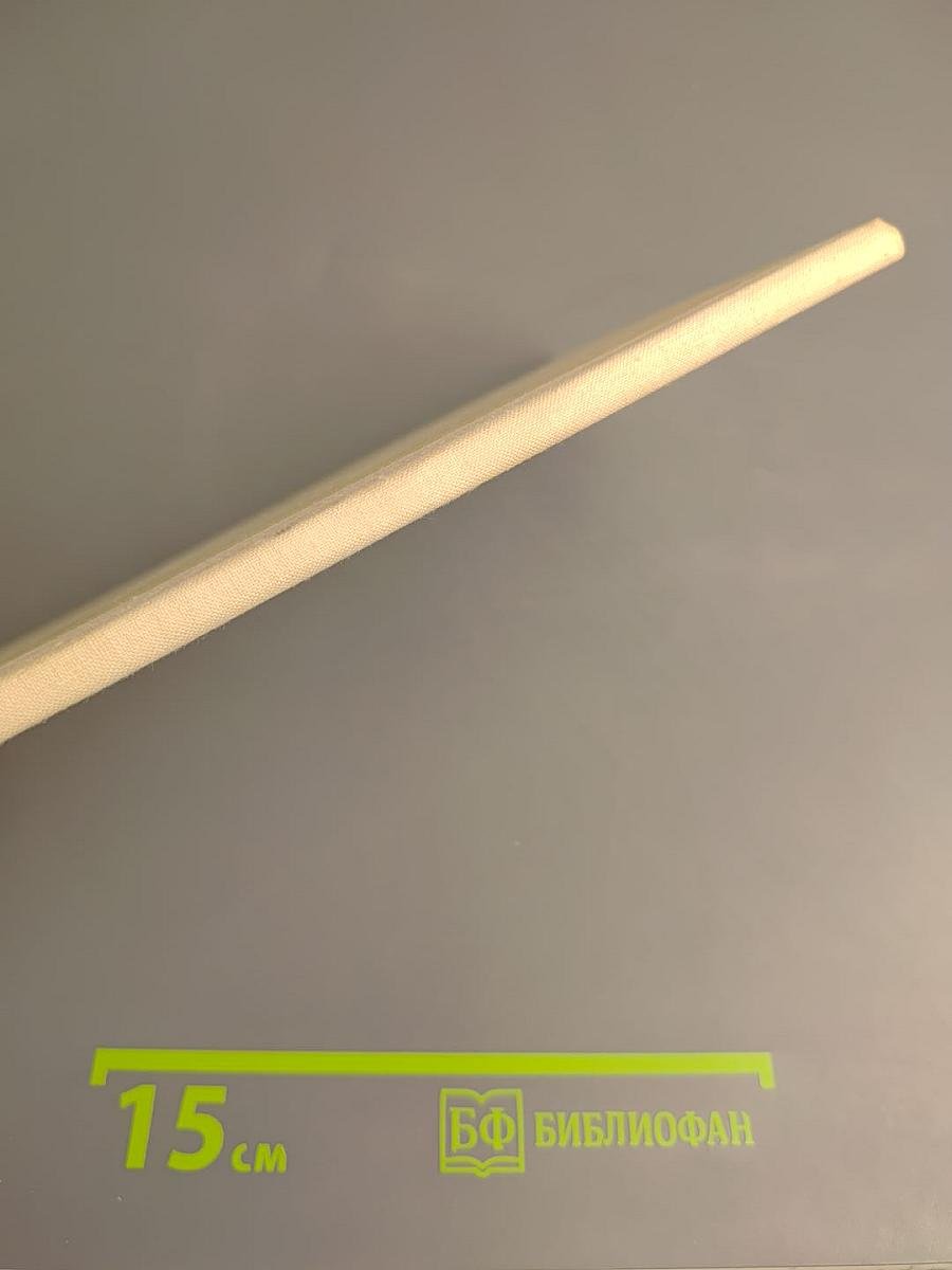 Мой русский стих, живое слово...