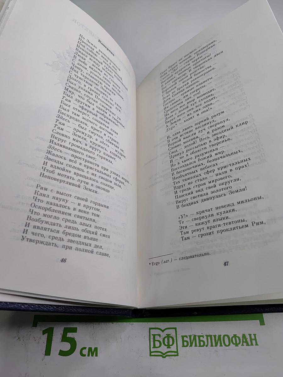 Кибернетический Пегас