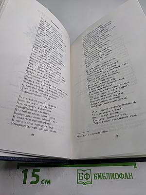 Кибернетический Пегас