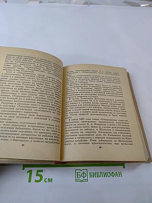 Василий Андреевич Шелгунов