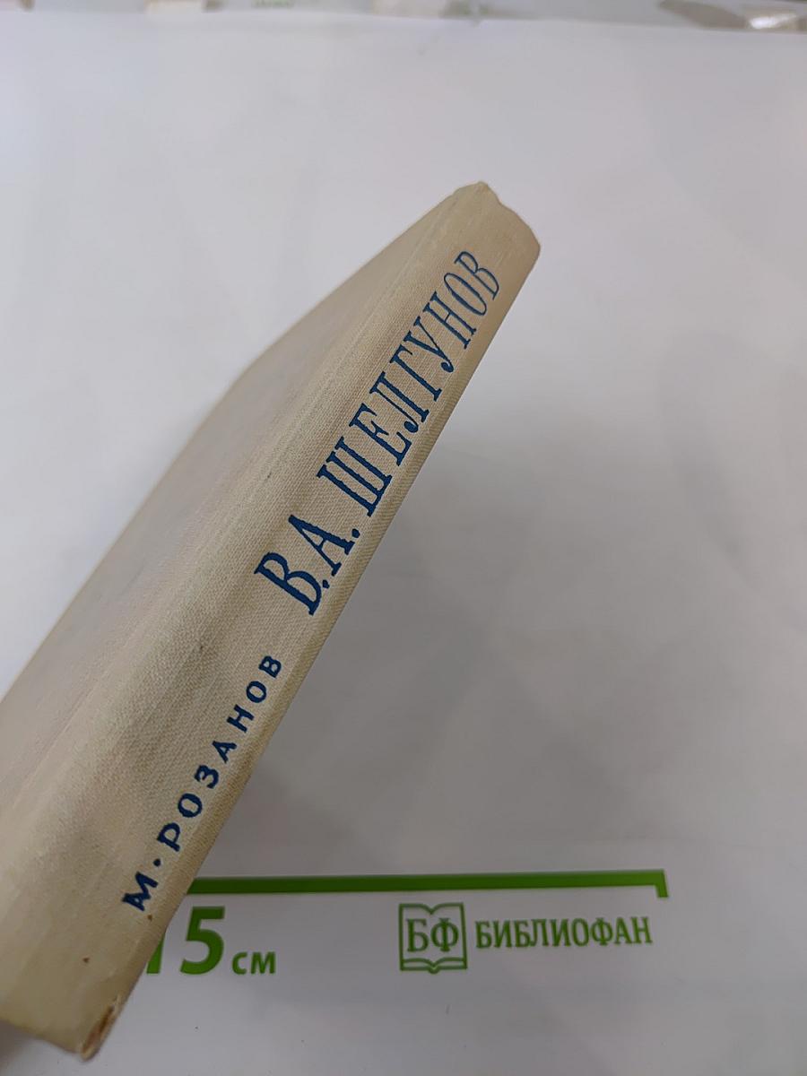 Василий Андреевич Шелгунов