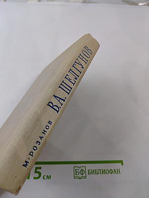 Василий Андреевич Шелгунов