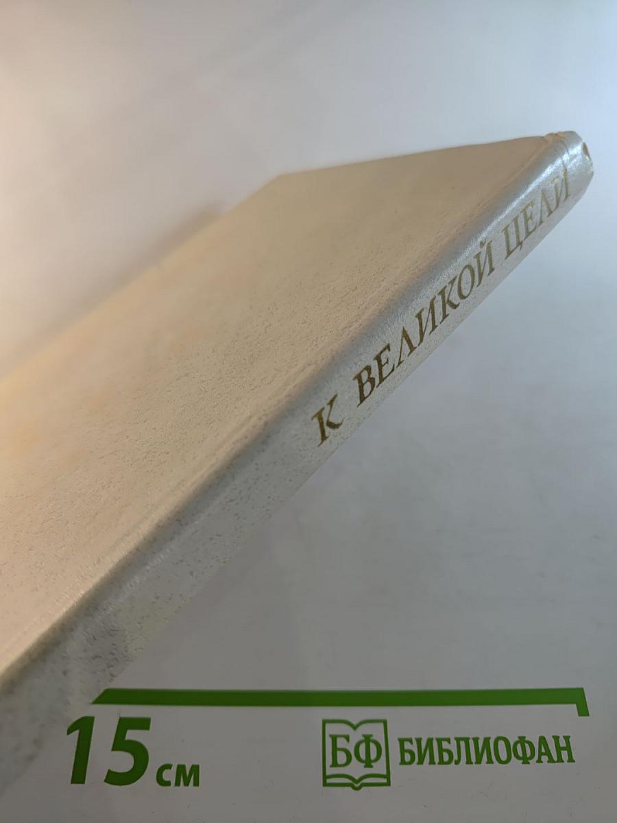 К великой цели