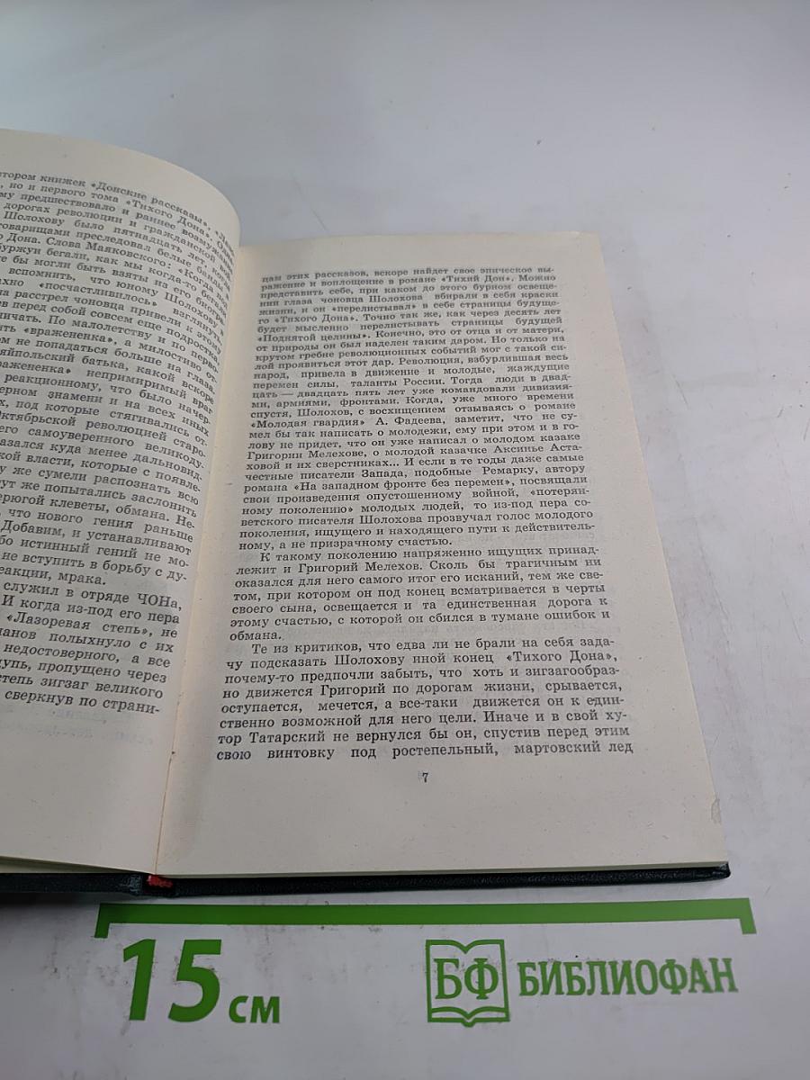 Вешенское лето