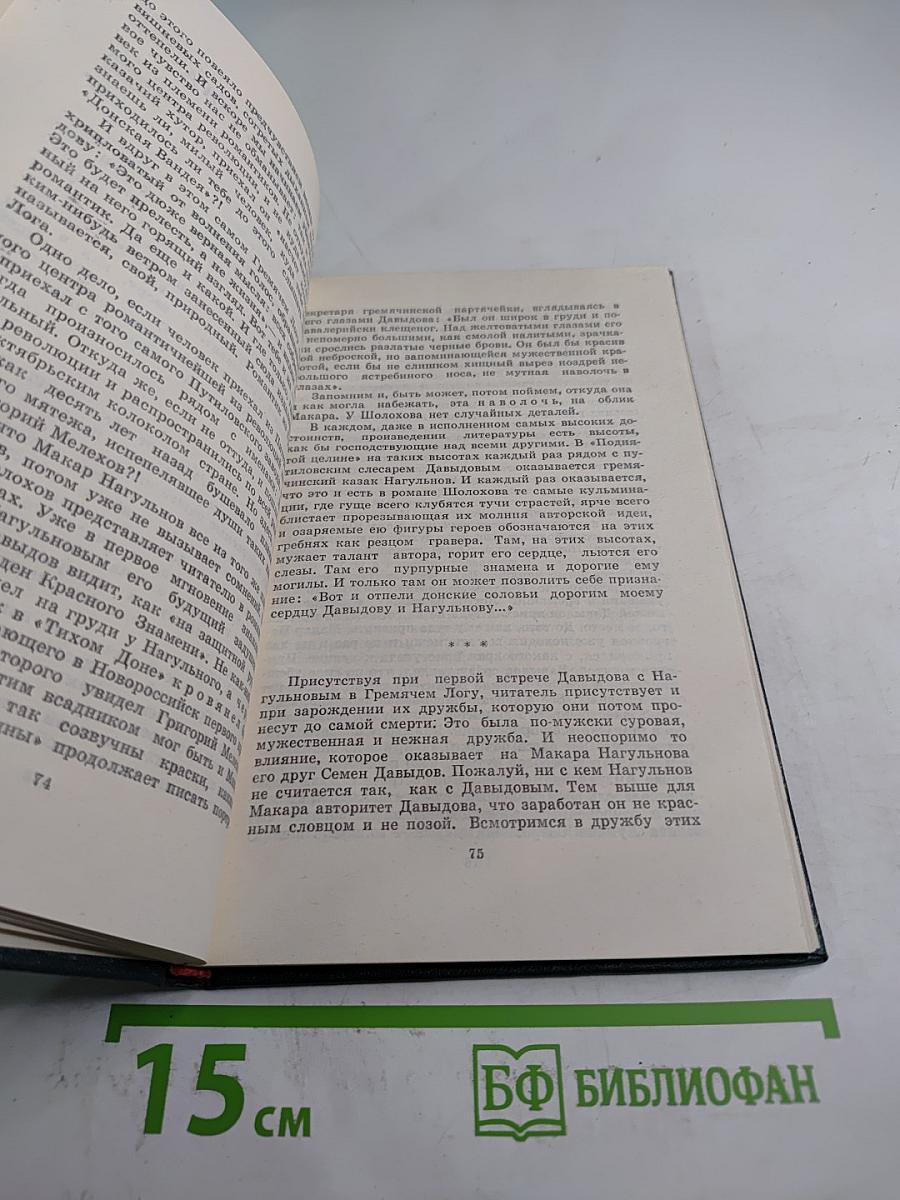 Вешенское лето