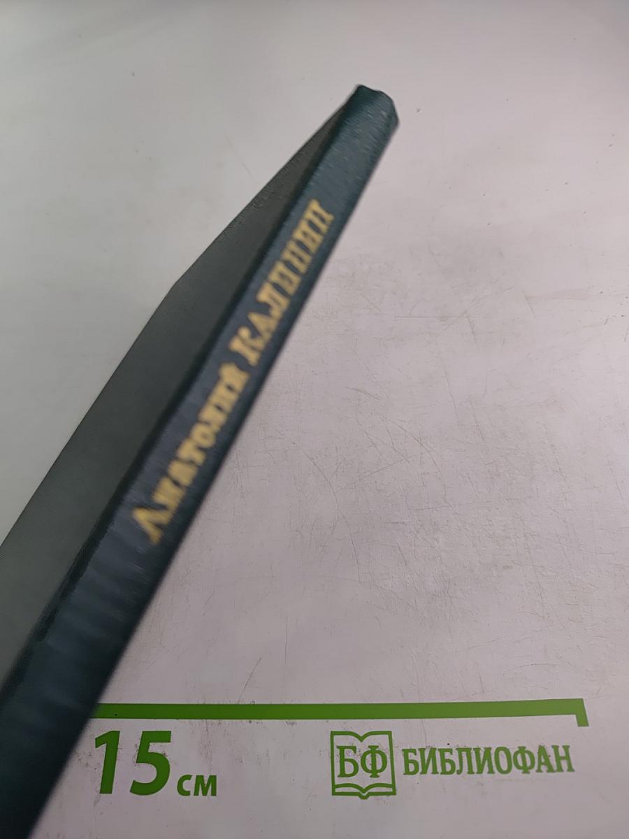 Вешенское лето