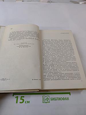 Огневой меч Ленинграда