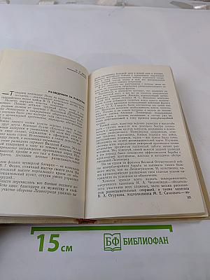 Огневой меч Ленинграда