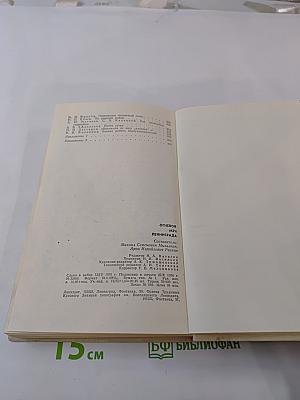 Огневой меч Ленинграда