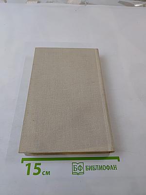 Огневой меч Ленинграда