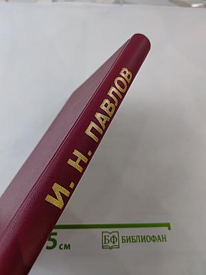 Они защищали Родину в рядах Железной дивизии