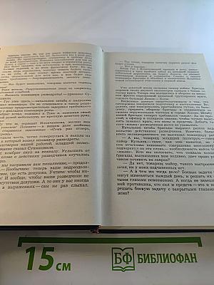 Дерзкий рейд