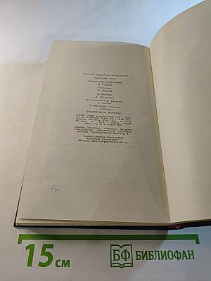 Дерзкий рейд